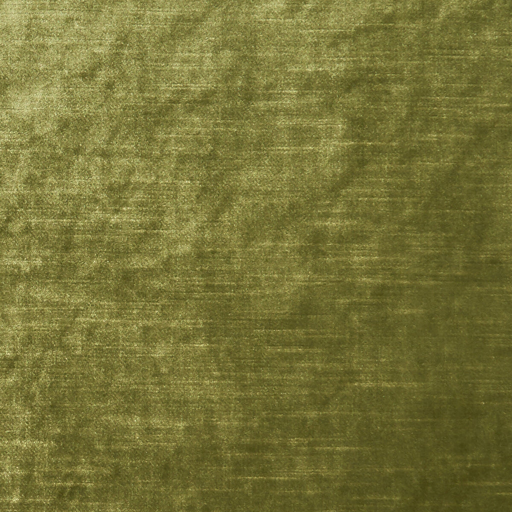 Samples and Purchasing available for Allure - Moss  By Clarke And Clarke | Clarke & Clarke Allure |Solid Texture Multipurpose Velvet at Designer Wallcoverings and Fabrics