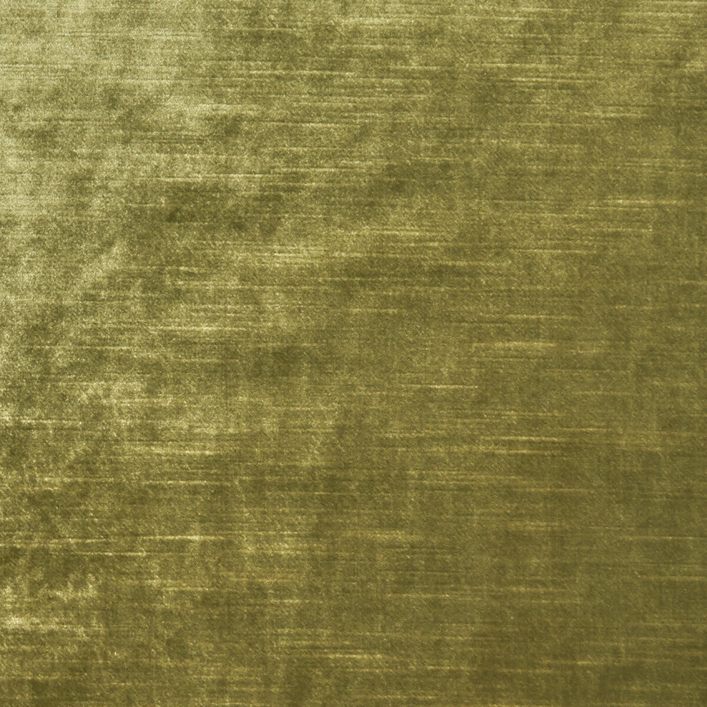 Samples and Purchasing available for Allure - Olive  By Clarke And Clarke | Clarke & Clarke Allure |Solid Texture Multipurpose Velvet at Designer Wallcoverings and Fabrics