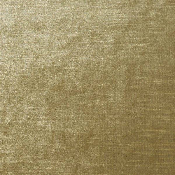 Samples and Purchasing available for Allure - Sand  By Clarke And Clarke | Clarke & Clarke Allure |Solid Texture Multipurpose Velvet at Designer Wallcoverings and Fabrics