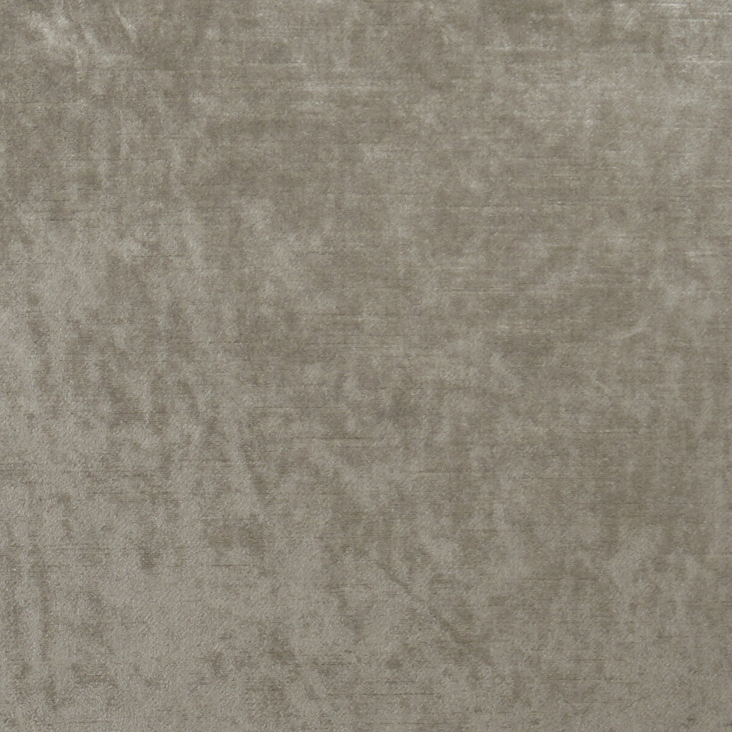 Samples and Purchasing available for Allure - Taupe  By Clarke And Clarke | Clarke & Clarke Allure |Solid Texture Multipurpose Velvet at Designer Wallcoverings and Fabrics