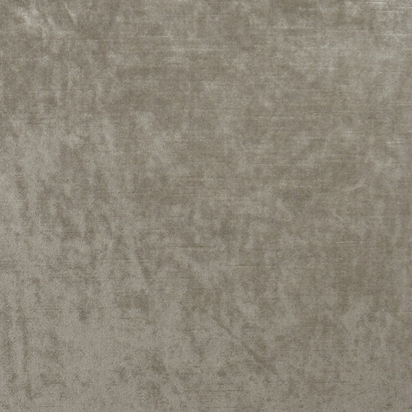 Samples and Purchasing available for Allure - Taupe  By Clarke And Clarke | Clarke & Clarke Allure |Solid Texture Multipurpose Velvet at Designer Wallcoverings and Fabrics