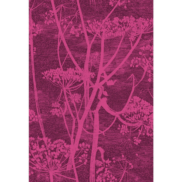 Samples and Purchasing available for Cow Parsley - Magnta Plm Burgundy/Red By Cole & Son | Cole & Son Contemporary Fabrics |Botanical & Floral Modern Multipurpose Print at Designer Wallcoverings and Fabrics