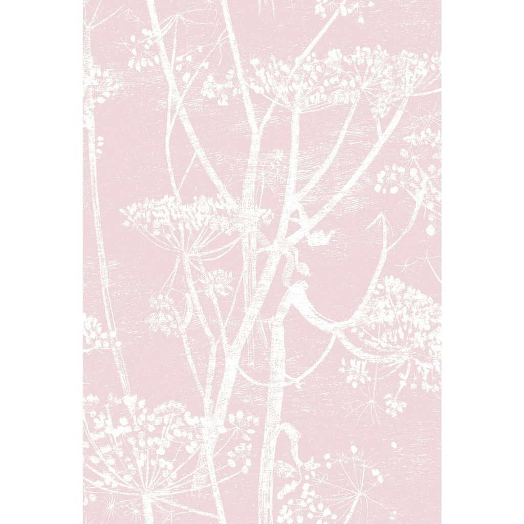 Samples and Purchasing available for Cow Parsley - Wht Balle Slip Pink By Cole & Son | Cole & Son Contemporary Fabrics |Botanical & Floral Modern Multipurpose Print at Designer Wallcoverings and Fabrics