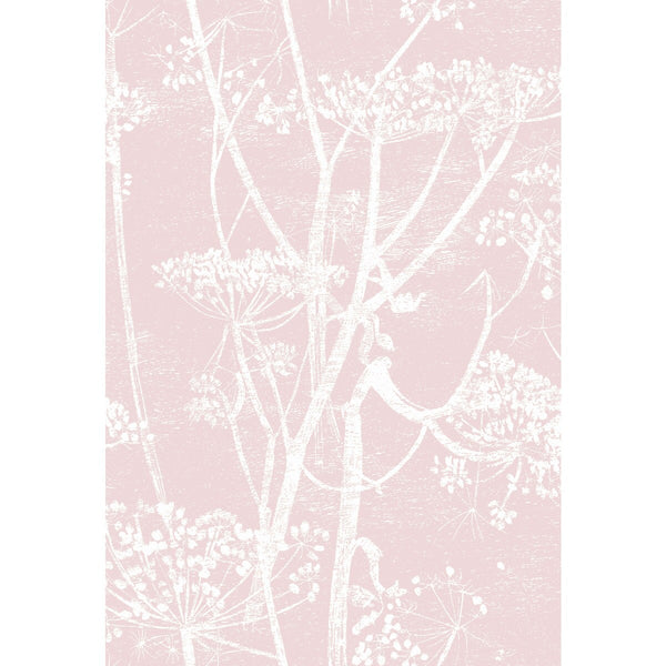 Samples and Purchasing available for Cow Parsley - Wht Balle Slip Pink By Cole & Son | Cole & Son Contemporary Fabrics |Botanical & Floral Modern Multipurpose Print at Designer Wallcoverings and Fabrics