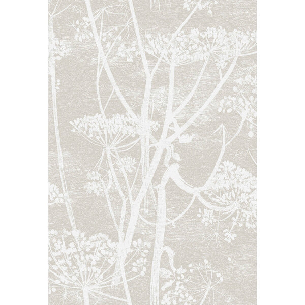 Samples and Purchasing available for Cow Parsley - Wht Taupe Taupe By Cole & Son | Cole & Son Contemporary Fabrics |Botanical & Floral Modern Multipurpose Print at Designer Wallcoverings and Fabrics