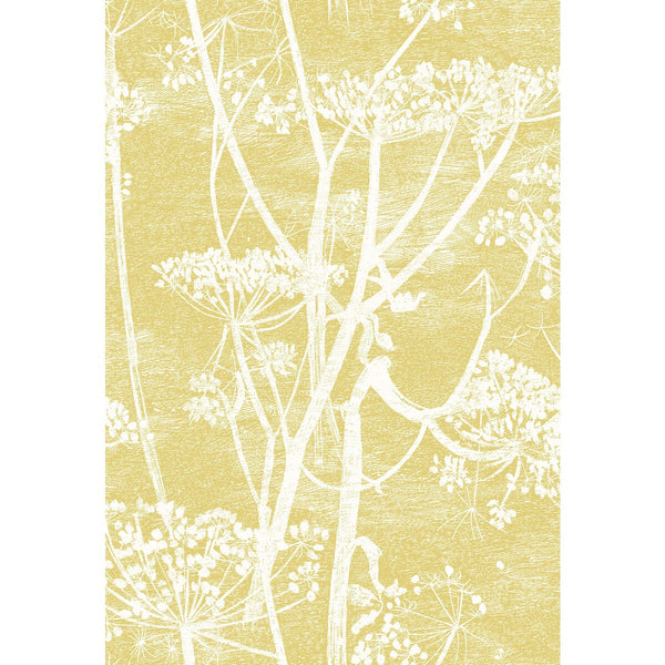 Samples and Purchasing available for Cow Parsley - Wht & Chartre Yellow By Cole & Son | Cole & Son Contemporary Fabrics |Botanical & Floral Modern Multipurpose Print at Designer Wallcoverings and Fabrics