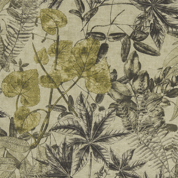 Samples and Purchasing available for Madagascar - Charcoal/Charteuse  By Clarke And Clarke | Clarke & Clarke Exotica | Botanical & Floral Multipurpose Print at Designer Wallcoverings and Fabrics