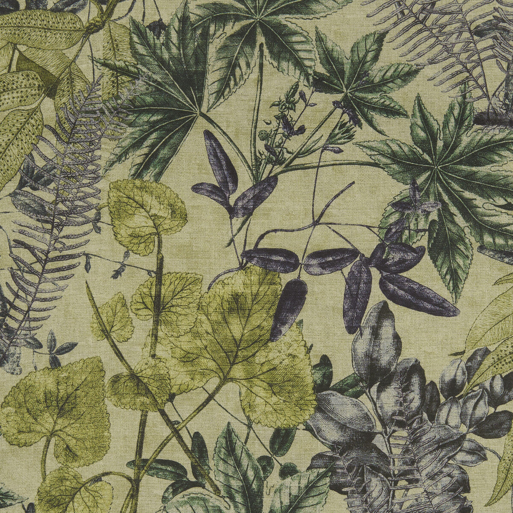 Samples and Purchasing available for Madagascar - Forest  By Clarke And Clarke | Clarke & Clarke Exotica | Botanical & Floral Multipurpose Print at Designer Wallcoverings and Fabrics