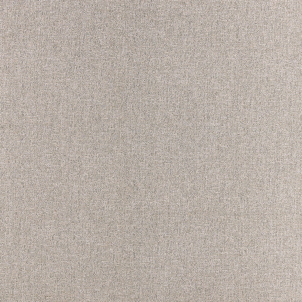 Samples and Purchasing available for Acies - Taupe Beige By Clarke And Clarke | Clarke & Clarke Purus |Solid Texture Upholstery  at Designer Wallcoverings and Fabrics