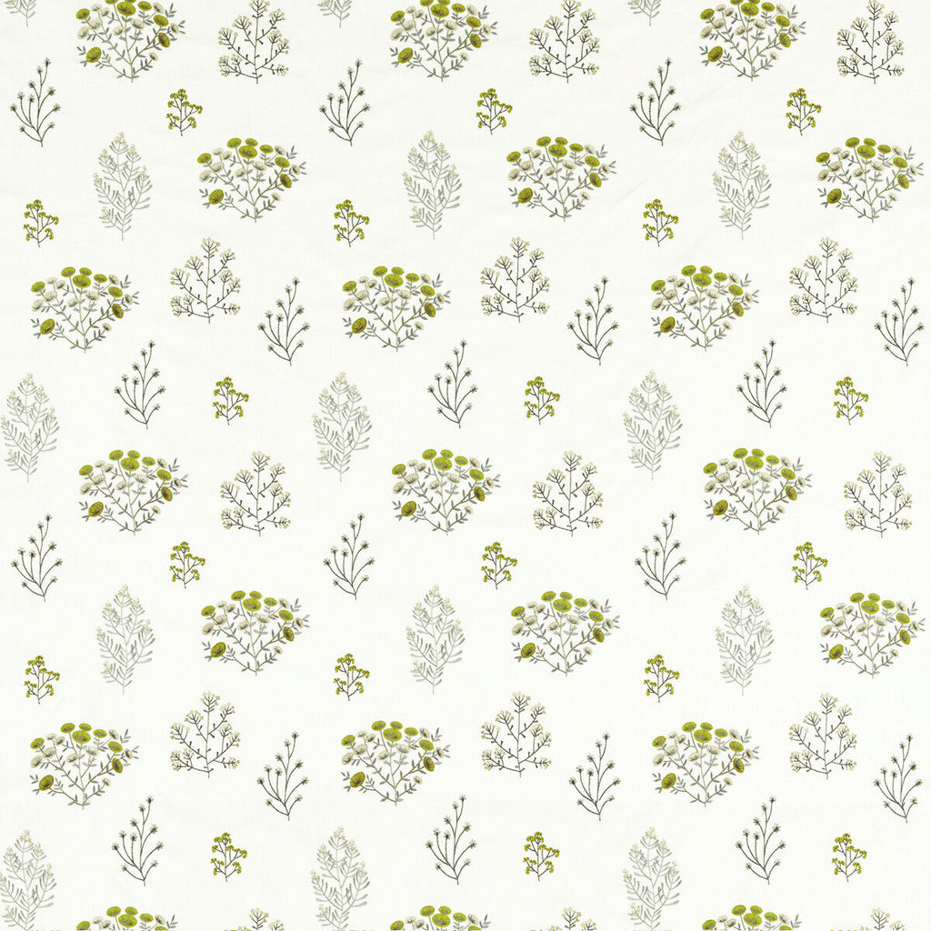 Samples and Purchasing available for Floris - Chartreuse White By Clarke And Clarke | Clarke & Clarke Botanist |Botanical & Floral  Multipurpose Embroidery at Designer Wallcoverings and Fabrics