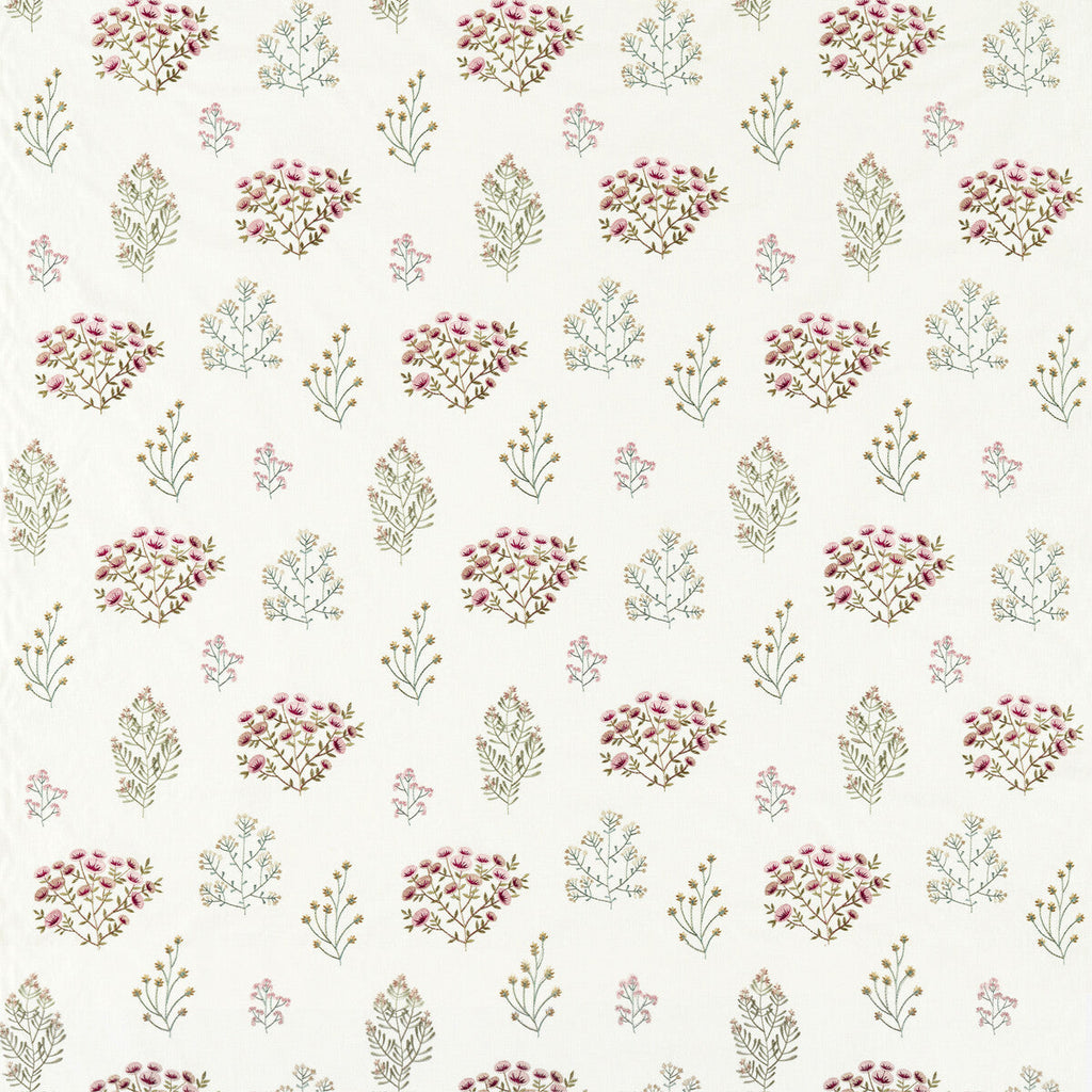 Samples and Purchasing available for Floris - Summer White By Clarke And Clarke | Clarke & Clarke Botanist |Botanical & Floral  Multipurpose Embroidery at Designer Wallcoverings and Fabrics