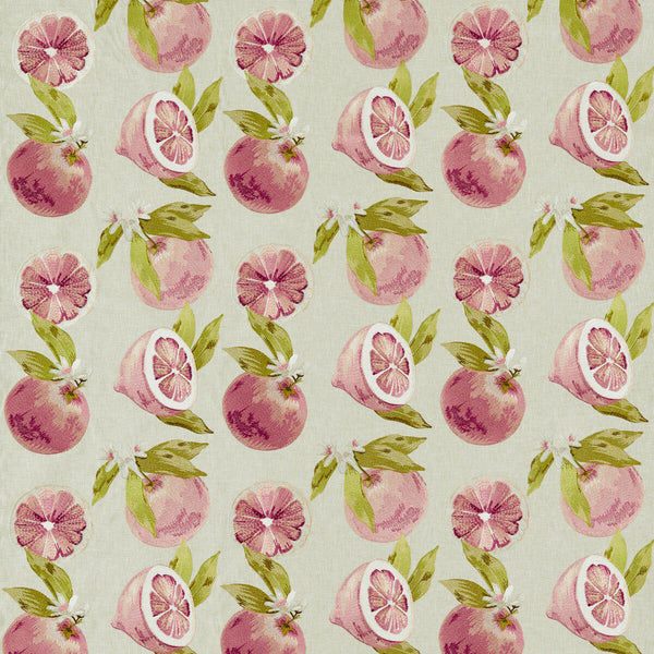 Samples and Purchasing available for Agrias - Grapefruit Pink By Clarke And Clarke | Clarke & Clarke Pomarium |Botanical & Floral Texture Drapery Embroidery at Designer Wallcoverings and Fabrics