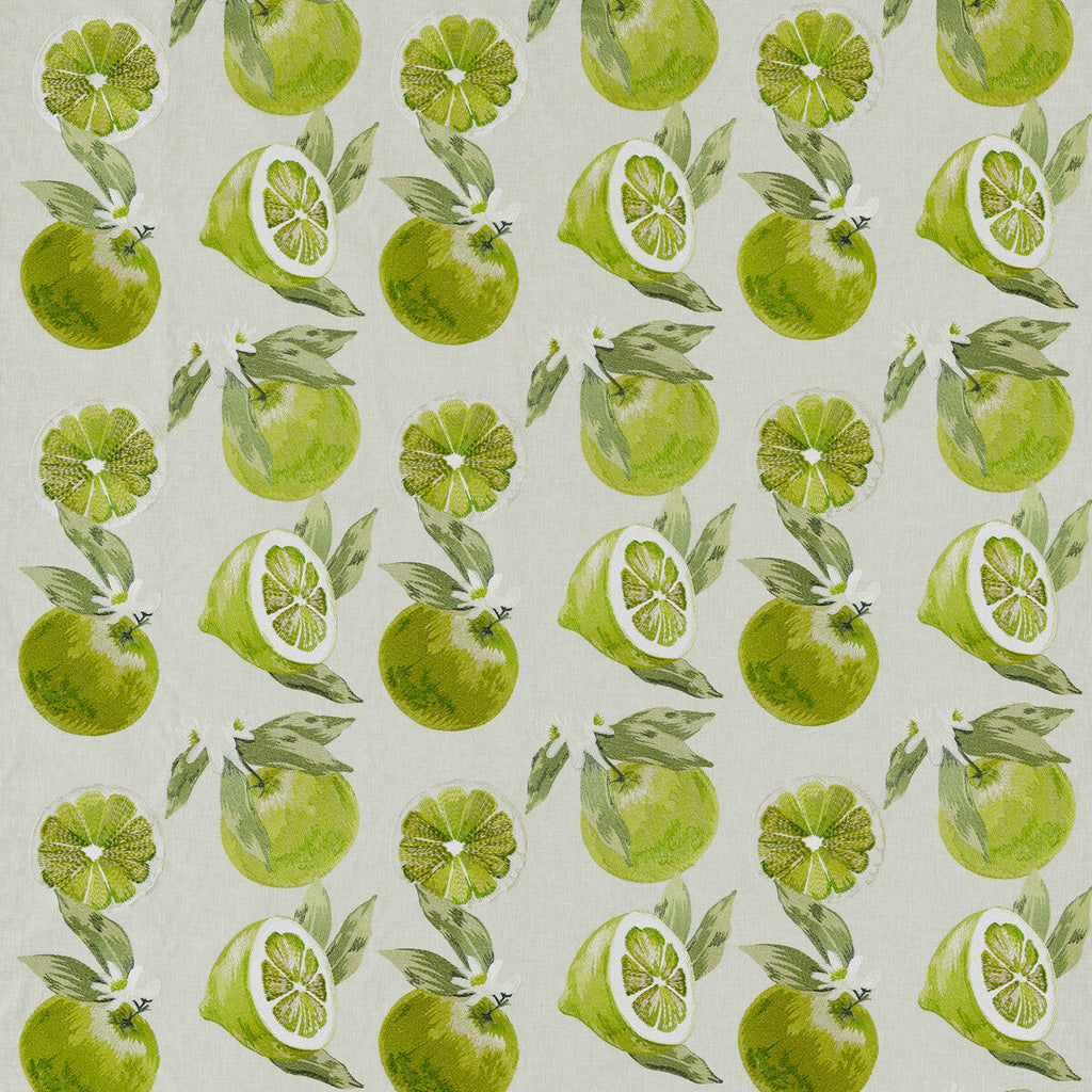 Samples and Purchasing available for Agrias - Lime Green By Clarke And Clarke | Clarke & Clarke Pomarium |Botanical & Floral Texture Drapery Embroidery at Designer Wallcoverings and Fabrics