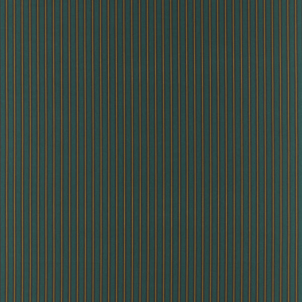 Samples and Purchasing available for Carousel - Teal Teal By Clarke And Clarke | Formations By Studio G For C&C | Stripes Multipurpose Print at Designer Wallcoverings and Fabrics