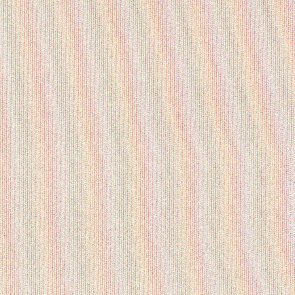 Samples and Purchasing available for Ashdown - Blush Pink By Clarke And Clarke | Clarke & Clarke Whitworth |Stripes Texture Upholstery Velvet at Designer Wallcoverings and Fabrics