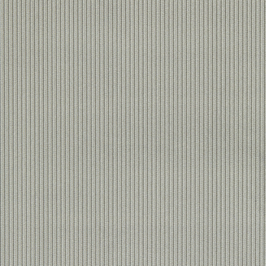 Samples and Purchasing available for Ashdown - Graphite Grey By Clarke And Clarke | Clarke & Clarke Whitworth |Stripes Texture Upholstery Velvet at Designer Wallcoverings and Fabrics