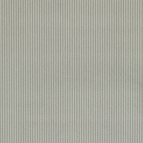 Samples and Purchasing available for Ashdown - Graphite Grey By Clarke And Clarke | Clarke & Clarke Whitworth |Stripes Texture Upholstery Velvet at Designer Wallcoverings and Fabrics