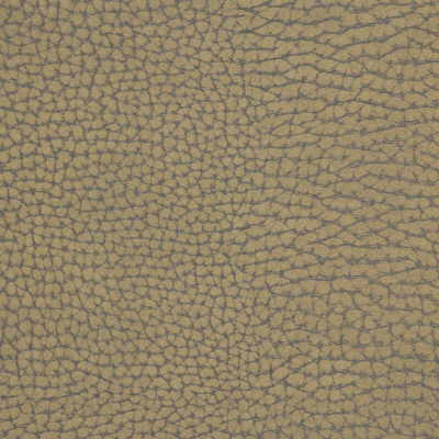 Samples and Purchasing available for Forgetful - Stone  By Kravet Couture |  |Texture Animal Skins Upholstery Vinyl/Faux Leather at Designer Wallcoverings and Fabrics