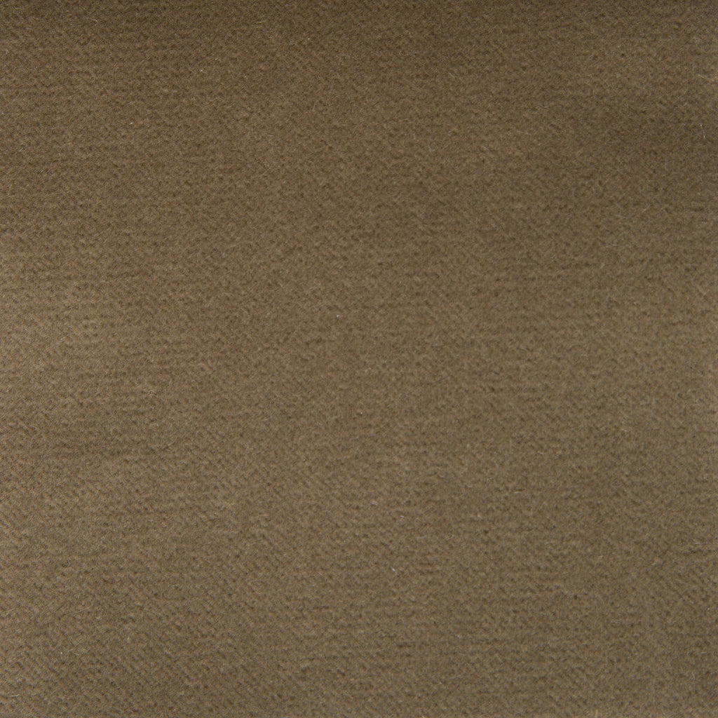 Samples and Purchasing available for Venecia - Vison Taupe By Gaston Y Daniela | Basics |Solid  Upholstery Velvet at Designer Wallcoverings and Fabrics