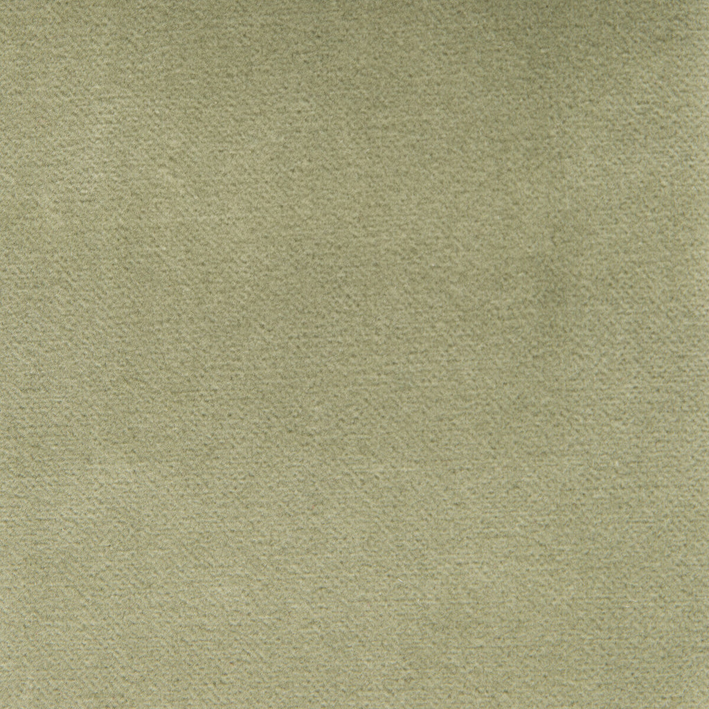 Samples and Purchasing available for Venecia - Verde Claro Celery By Gaston Y Daniela | Basics |Solid  Upholstery Velvet at Designer Wallcoverings and Fabrics