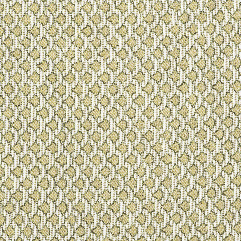 Samples and Purchasing available for Ondas - Verde White By Gaston Y Daniela | Gaston Libreria |Flamestitch Small Scale Upholstery Indoor / Outdoor at Designer Wallcoverings and Fabrics