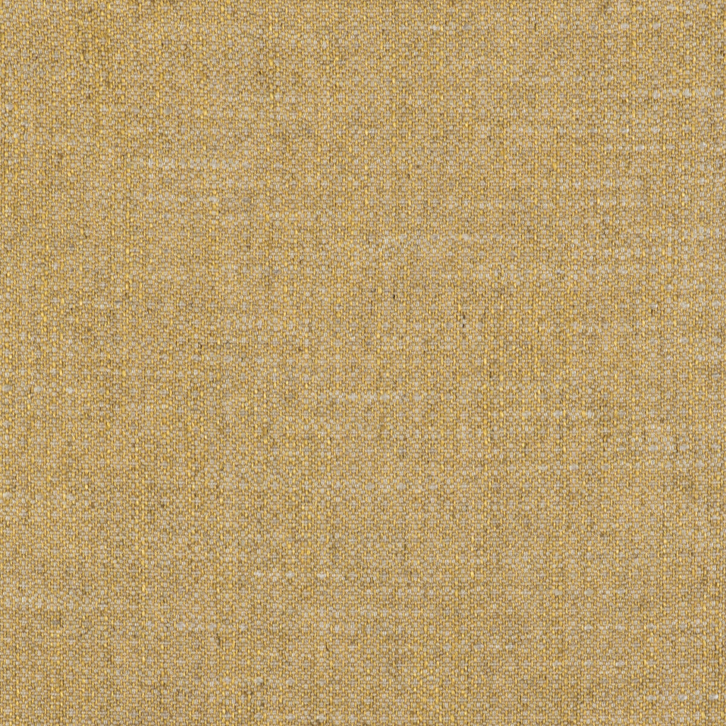 Samples and Purchasing available for Semilla - Oro Light Grey By Gaston Y Daniela | Gaston Libreria |Texture  Upholstery Weave at Designer Wallcoverings and Fabrics