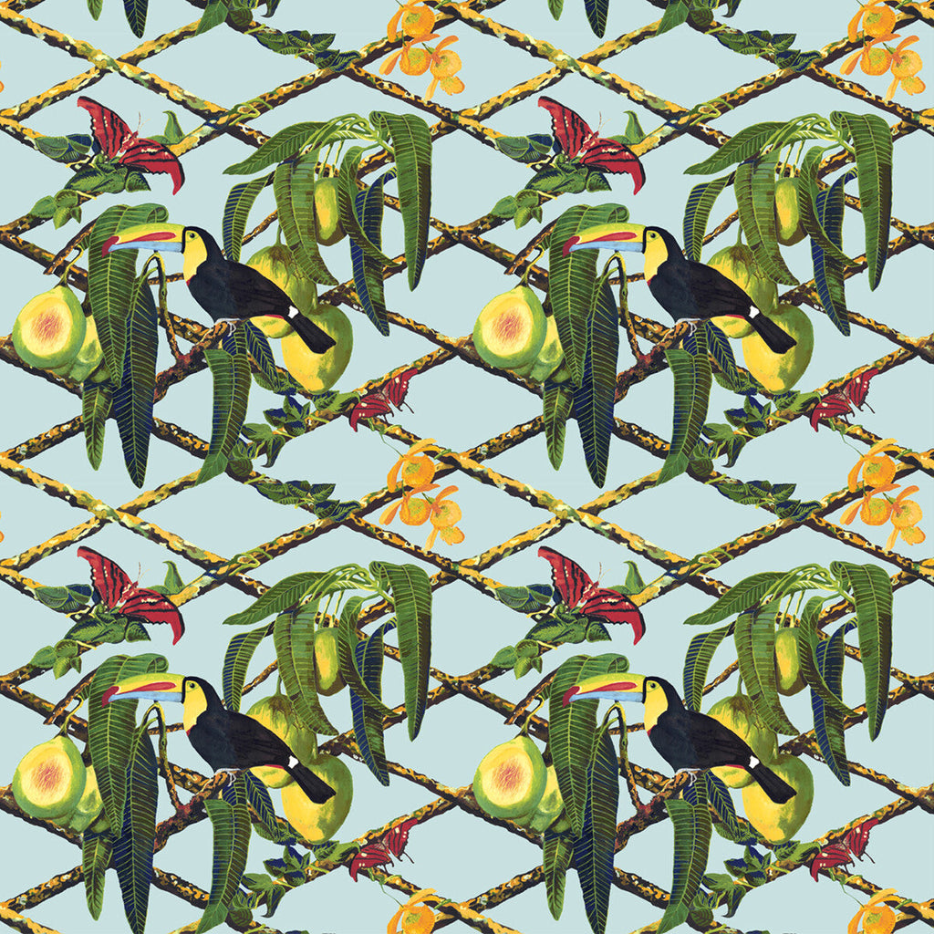 Samples and Purchasing available for Tucan - Original Light Green By Gaston Y Daniela | Gaston Libreria |Animal/Insects Tropical Multipurpose Print at Designer Wallcoverings and Fabrics