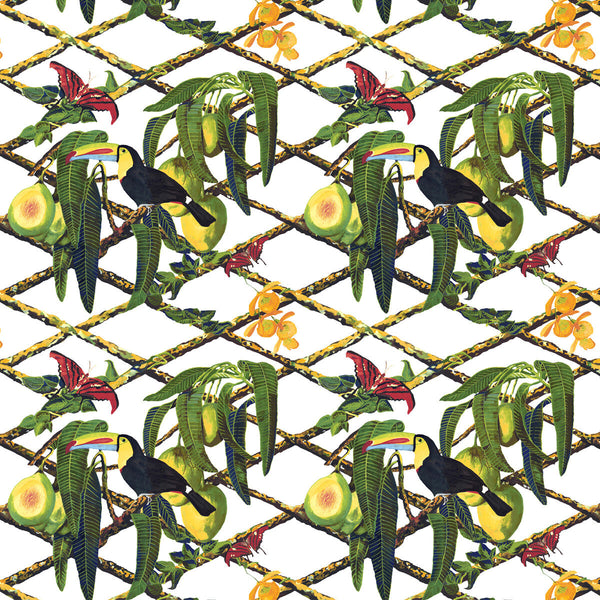 Samples and Purchasing available for Tucan - Fondo Blanco White By Gaston Y Daniela | Gaston Libreria |Animal/Insects Tropical Multipurpose Print at Designer Wallcoverings and Fabrics