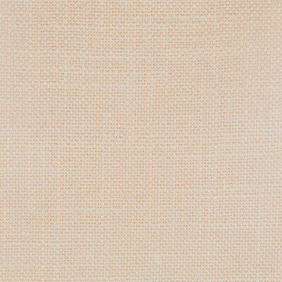 Samples and Purchasing available for Peru - Crudo Beige By Gaston Y Daniela | Gaston Nuevo Mundo | Solid Multipurpose  at Designer Wallcoverings and Fabrics