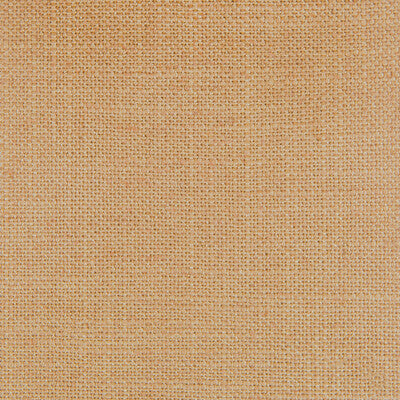 Samples and Purchasing available for Peru - Camel Camel By Gaston Y Daniela | Gaston Nuevo Mundo | Solid Multipurpose  at Designer Wallcoverings and Fabrics