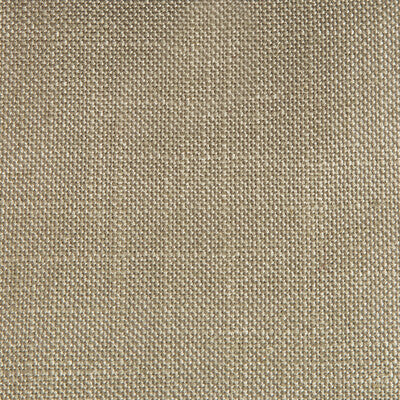 Samples and Purchasing available for Peru - Piedra Khaki By Gaston Y Daniela | Gaston Nuevo Mundo | Solid Multipurpose  at Designer Wallcoverings and Fabrics