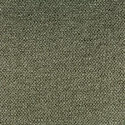 Samples and Purchasing available for Lima - Kaki Olive Green By Gaston Y Daniela | Gaston Nuevo Mundo |Solid Texture Upholstery Linen at Designer Wallcoverings and Fabrics