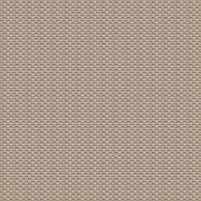 Samples and Purchasing available for Isamu - Tostado Beige By Gaston Y Daniela | Gaston Japon |Solid Texture Upholstery  at Designer Wallcoverings and Fabrics