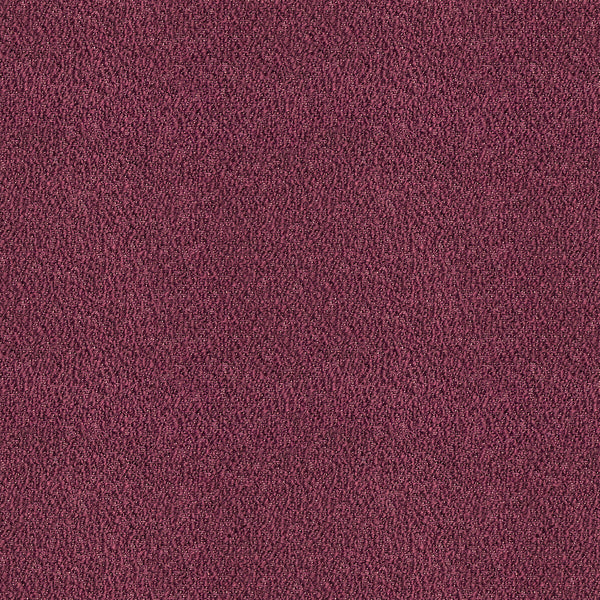 Samples and Purchasing available for Apache - Burdeos Plum By Gaston Y Daniela | Gaston Rio Grande |Solid Texture Upholstery  at Designer Wallcoverings and Fabrics