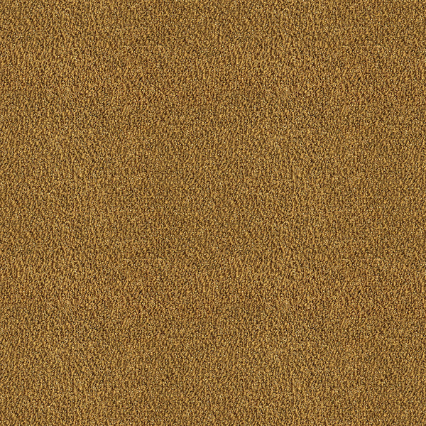 Samples and Purchasing available for Apache - Mostaza Gold By Gaston Y Daniela | Gaston Rio Grande |Solid Texture Upholstery  at Designer Wallcoverings and Fabrics