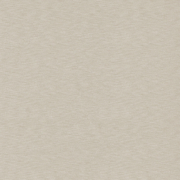 Samples and Purchasing available for Araxes - Beige Beige By Gaston Y Daniela | Gaston Y Daniela Marco Polo |Solid Texture Upholstery Boucle at Designer Wallcoverings and Fabrics