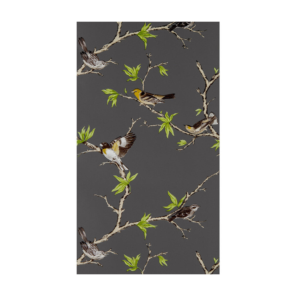 Samples and Purchasing available for Villa Fiori - Antracita Multi By Gaston Y Daniela | Gaston Dos Collection |Animal/Insects Botanical & Floral Wallcovering Print at Designer Wallcoverings and Fabrics