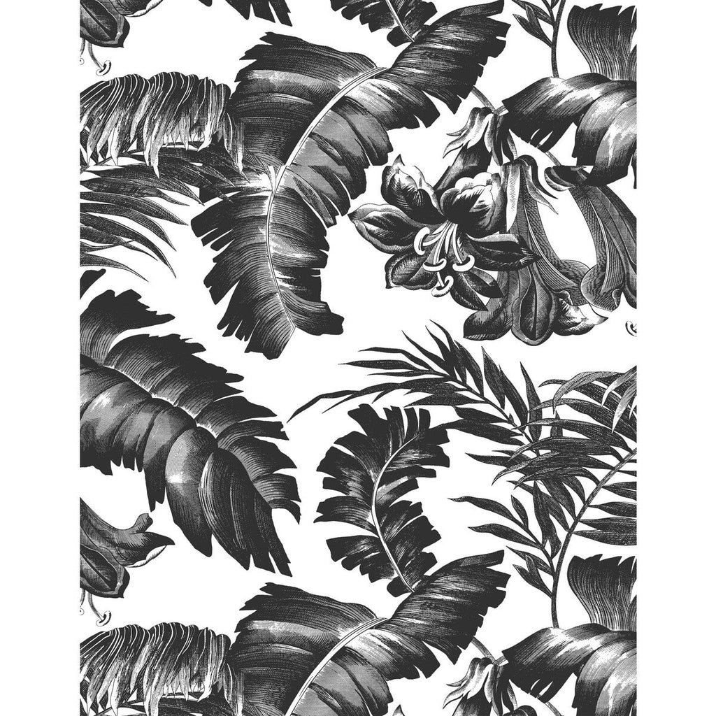 Samples and Purchasing available for Plantation - Black&White White By Gaston Y Daniela | Gaston Libreria |Botanical & Floral Tropical Wallcovering Print at Designer Wallcoverings and Fabrics