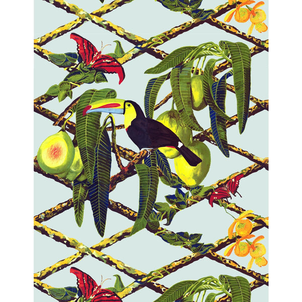 Samples and Purchasing available for Tucan - Original Multi By Gaston Y Daniela | Gaston Libreria |Animal/Insects Tropical Wallcovering Print at Designer Wallcoverings and Fabrics