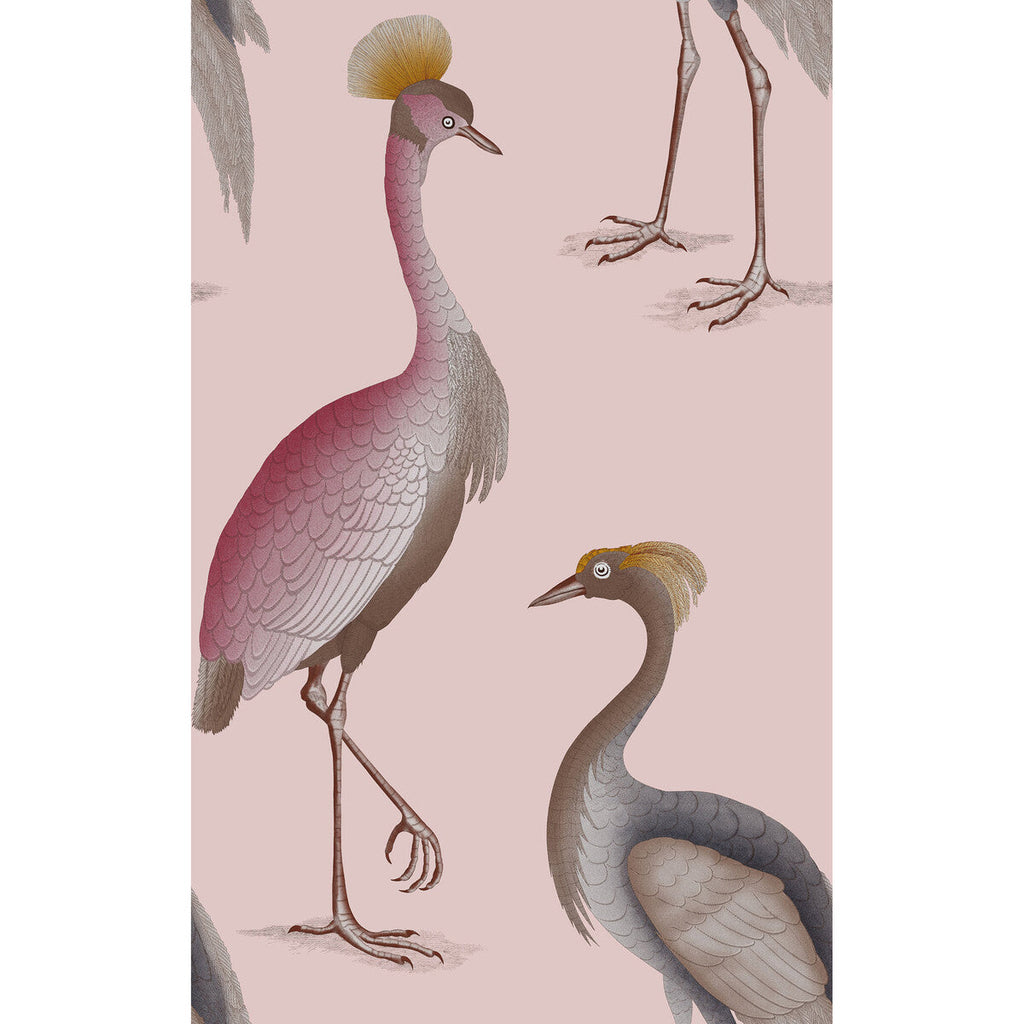 Samples and Purchasing available for Garzas - Rosa Pink By Gaston Y Daniela | Gaston Serendipia | Animal/Insects Wallcovering Print at Designer Wallcoverings and Fabrics