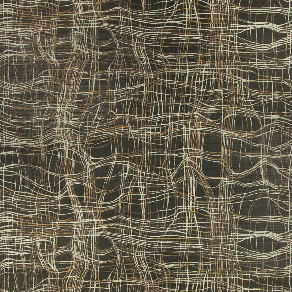 Samples and Purchasing available for Entangle Paper - Raven Black By Lee Jofa Modern | Kelly Wearstler Wallpapers Iv | Modern Wallcovering  at Designer Wallcoverings and Fabrics