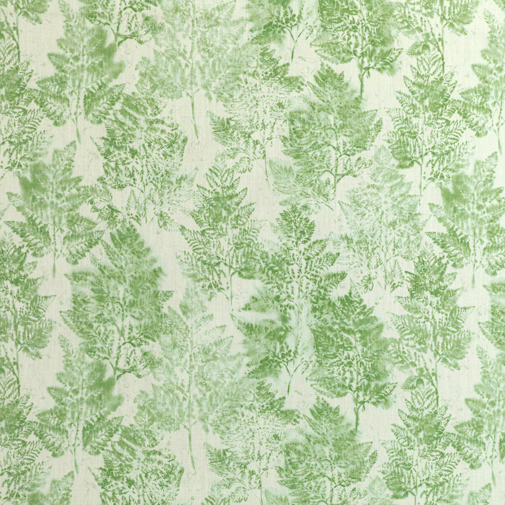 Samples and Purchasing available for Heiki Fern - Emerald White By Kravet Basics | Monterey |Botanical & Floral  Multipurpose Print at Designer Wallcoverings and Fabrics