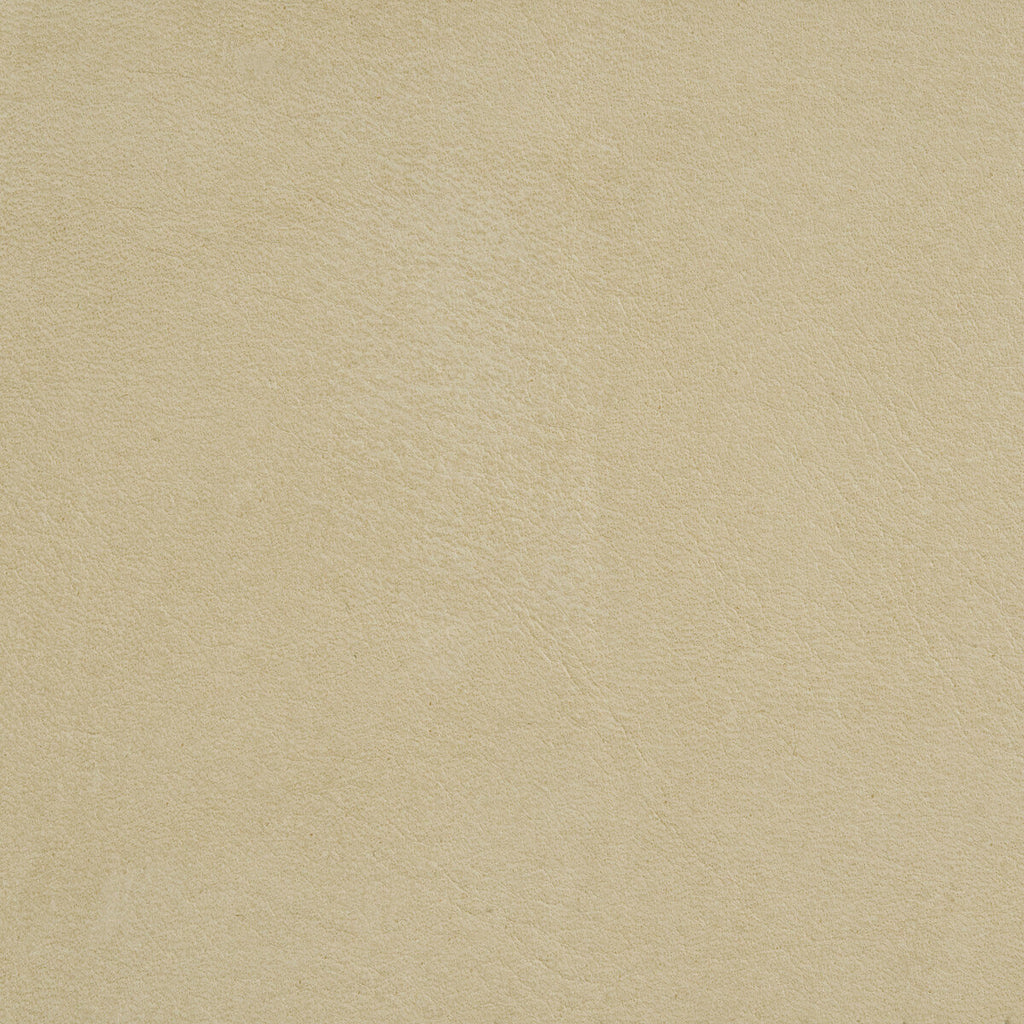 Samples and Purchasing available for L-Arizona - Putty White By Kravet Design |  |Solid Texture Upholstery Leather/Suede at Designer Wallcoverings and Fabrics