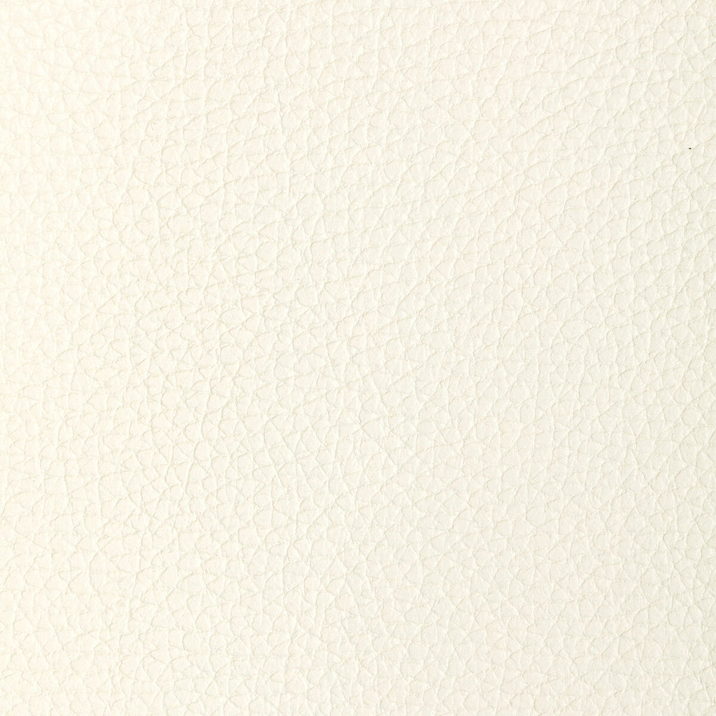 Samples and Purchasing available for Kravet Design - L-Tucum-Blanc White By Kravet Design |  |Solid  Upholstery Leather/Suede at Designer Wallcoverings and Fabrics