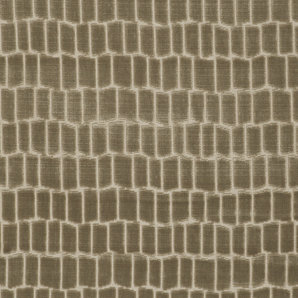 Samples and Purchasing available for Maximo - Lino Taupe By Gaston Y Daniela | Lorenzo Castillo V |Animal Skins Texture Upholstery Velvet at Designer Wallcoverings and Fabrics