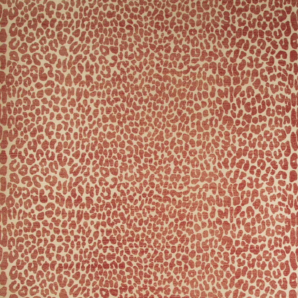 Samples and Purchasing available for Ocicat Paper - Red Red By Lee Jofa | Merkato | Animal/Insects Wallcovering Print at Designer Wallcoverings and Fabrics