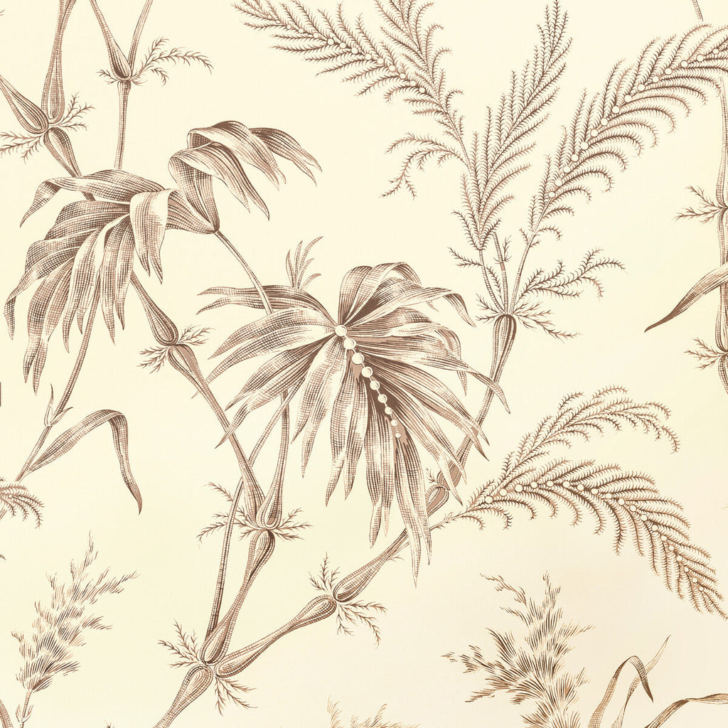 Samples and Purchasing available for Lauziere - Taupe Taupe By Brunschwig & Fils | Louverne Wallpapers | Botanical & Floral Wallcovering Print at Designer Wallcoverings and Fabrics