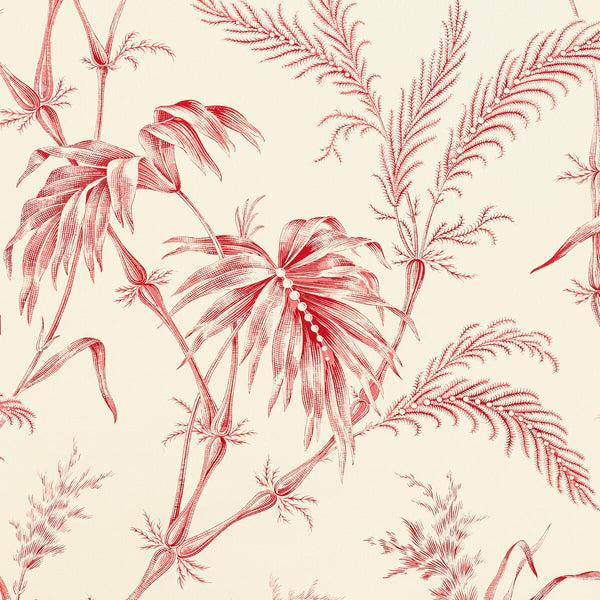 Samples and Purchasing available for Lauziere - Red Red By Brunschwig & Fils | Louverne Wallpapers | Botanical & Floral Wallcovering Print at Designer Wallcoverings and Fabrics