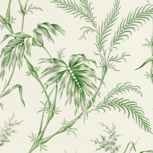 Samples and Purchasing available for Lauziere - Green Green By Brunschwig & Fils | Louverne Wallpapers | Botanical & Floral Wallcovering Print at Designer Wallcoverings and Fabrics