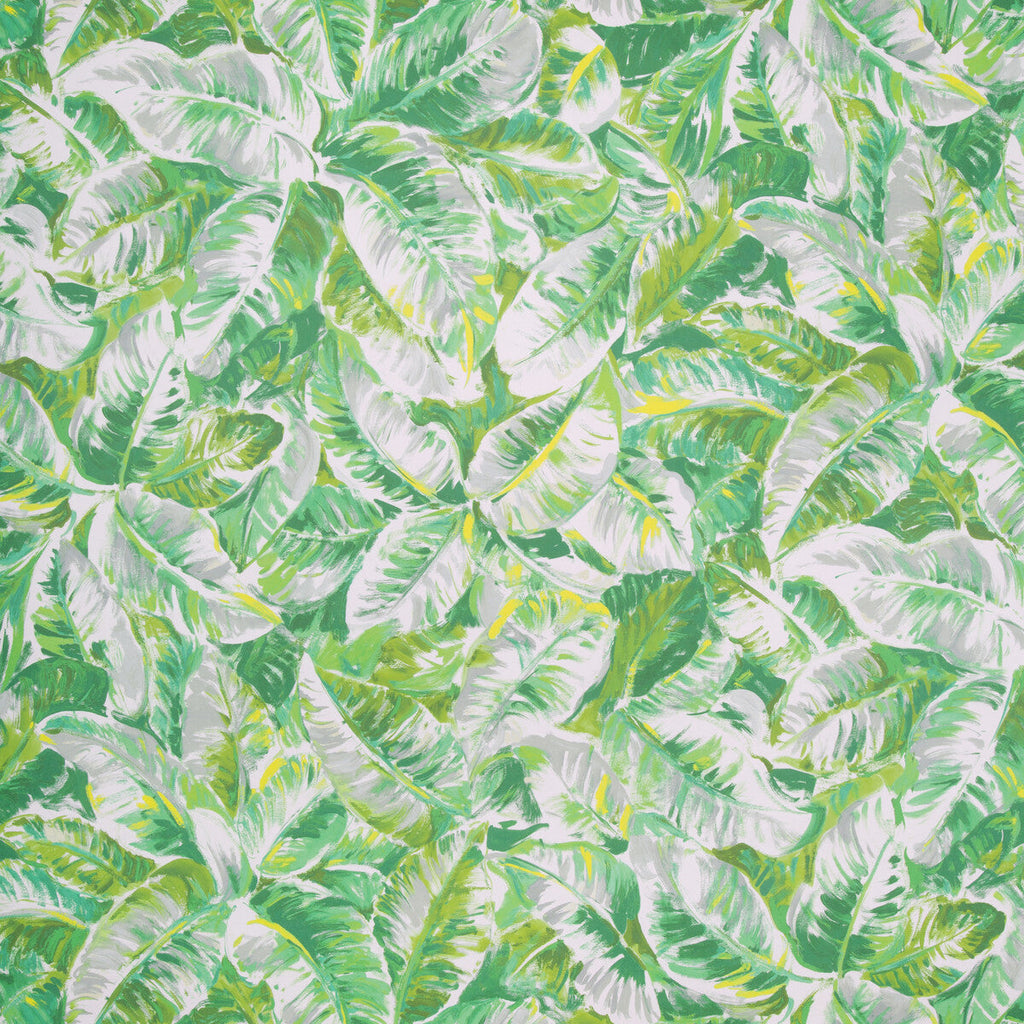 Samples and Purchasing available for Diani - Leaf Green By Brunschwig & Fils | Majorelle Wallpapers | Botanical & Floral Wallcovering Print at Designer Wallcoverings and Fabrics